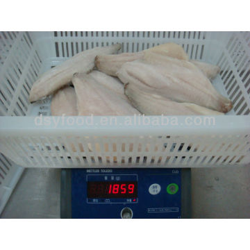 Frozen Seabass Fillet ( Lateolabrax japonicus)